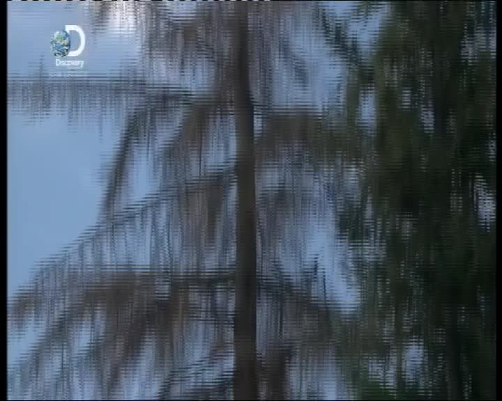 Aljaska posledni divocina 063 SD 05x08 Stastne dikuvzdani vsem mkv