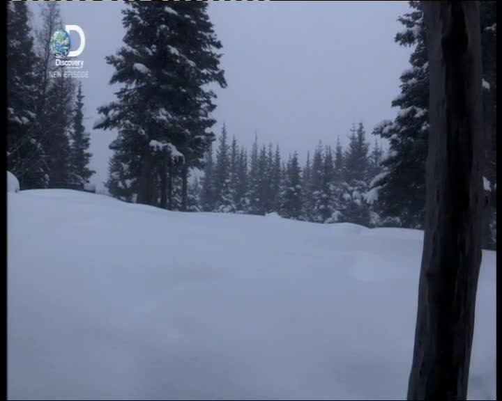 Aljaska posledni divocina 076 SD Prezit rocni obdobi Special mkv