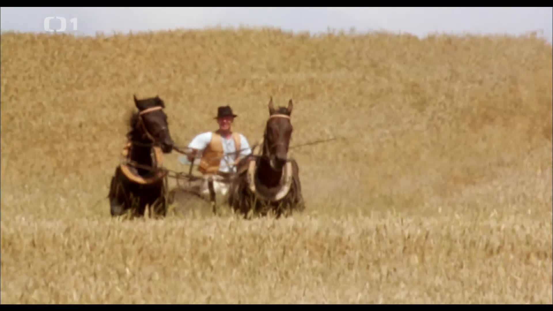 Je třeba zabít Sekala {1998} drama 1080p mkv