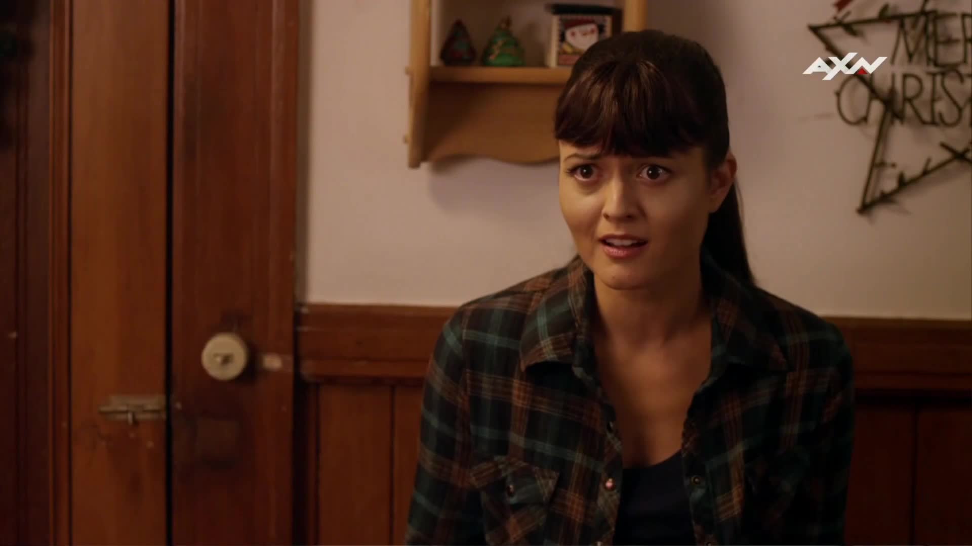 Láska u vánočního stolu (2012) cz dabing mp4