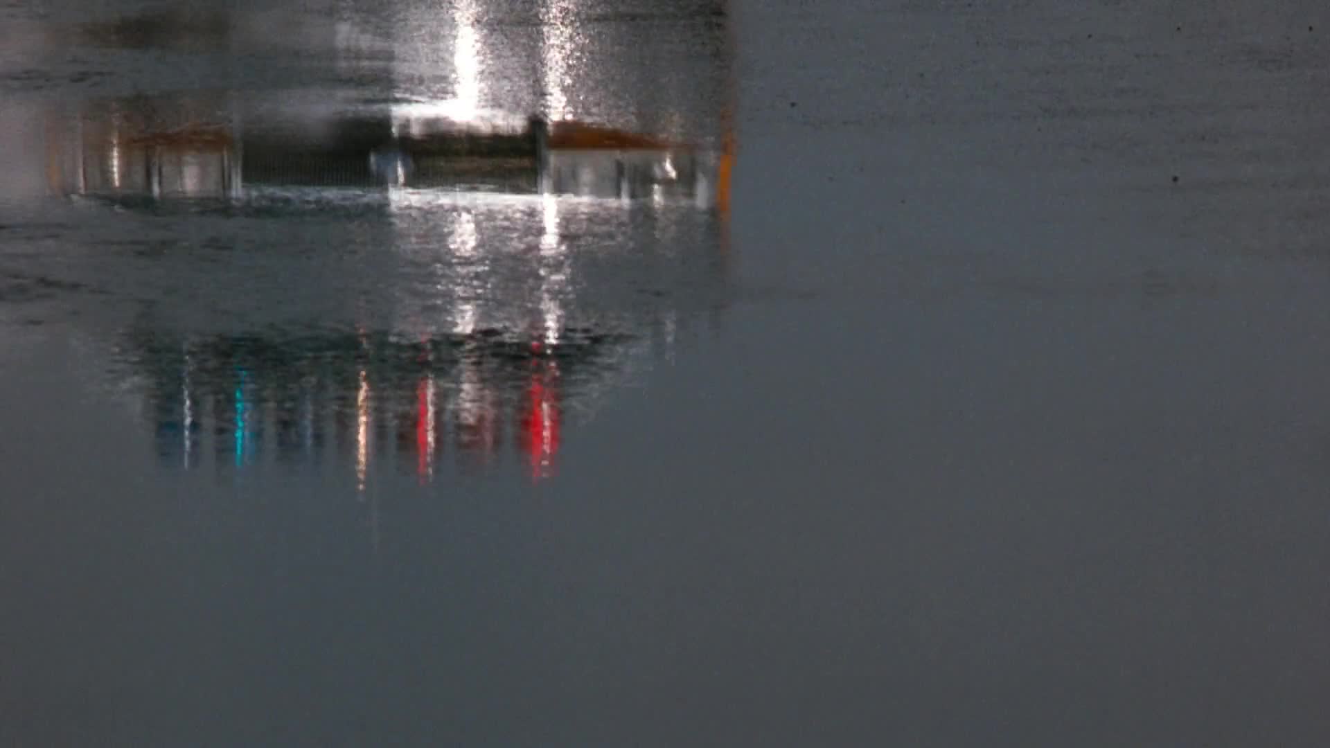 Nájemní vrazi =1995 CZ mkv