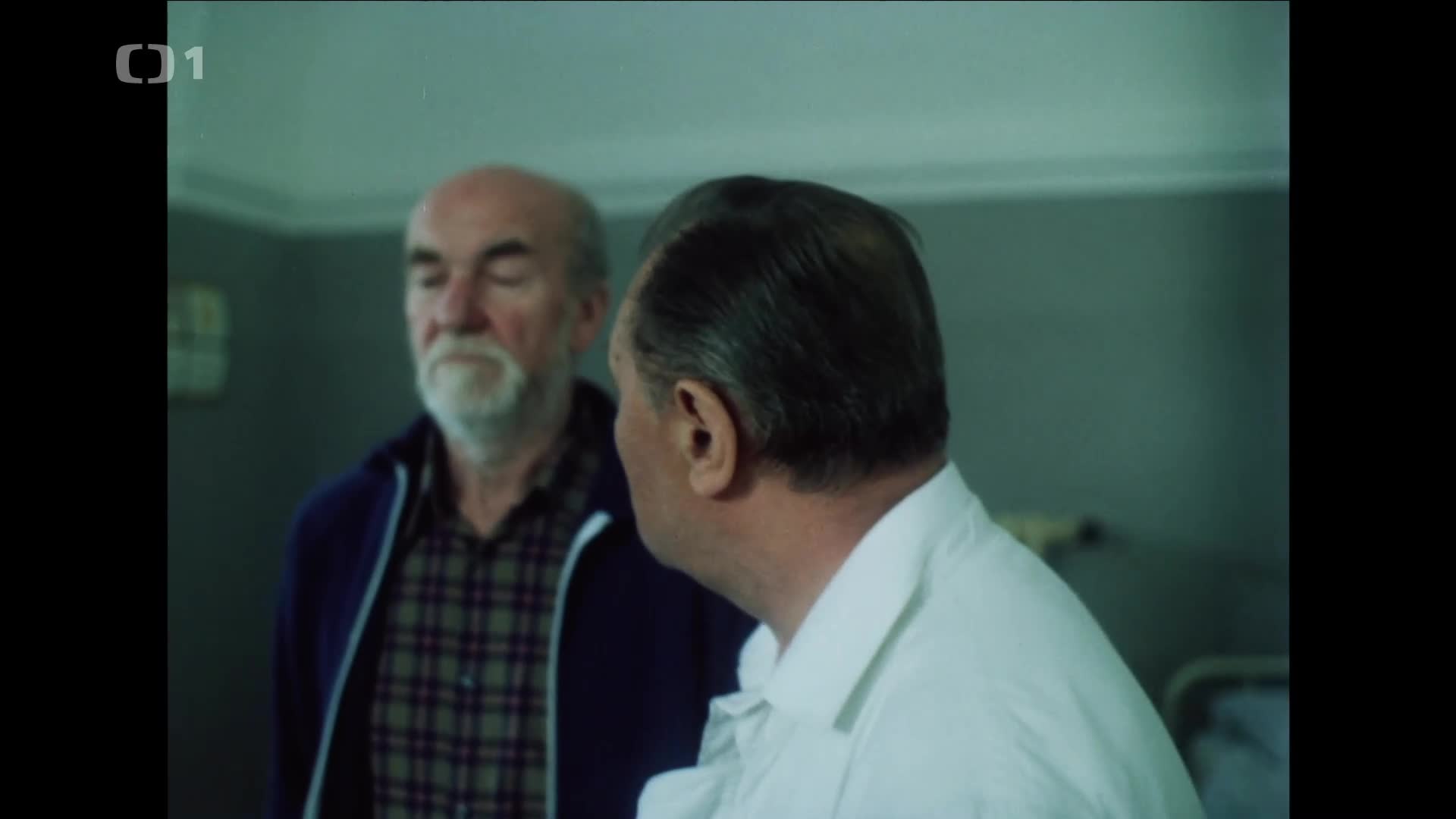 Dobří holubi se vracejí (1988) komedie, drama mkv