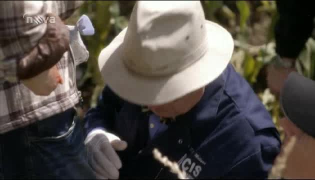NCIS s07e09 Dětská hra avi