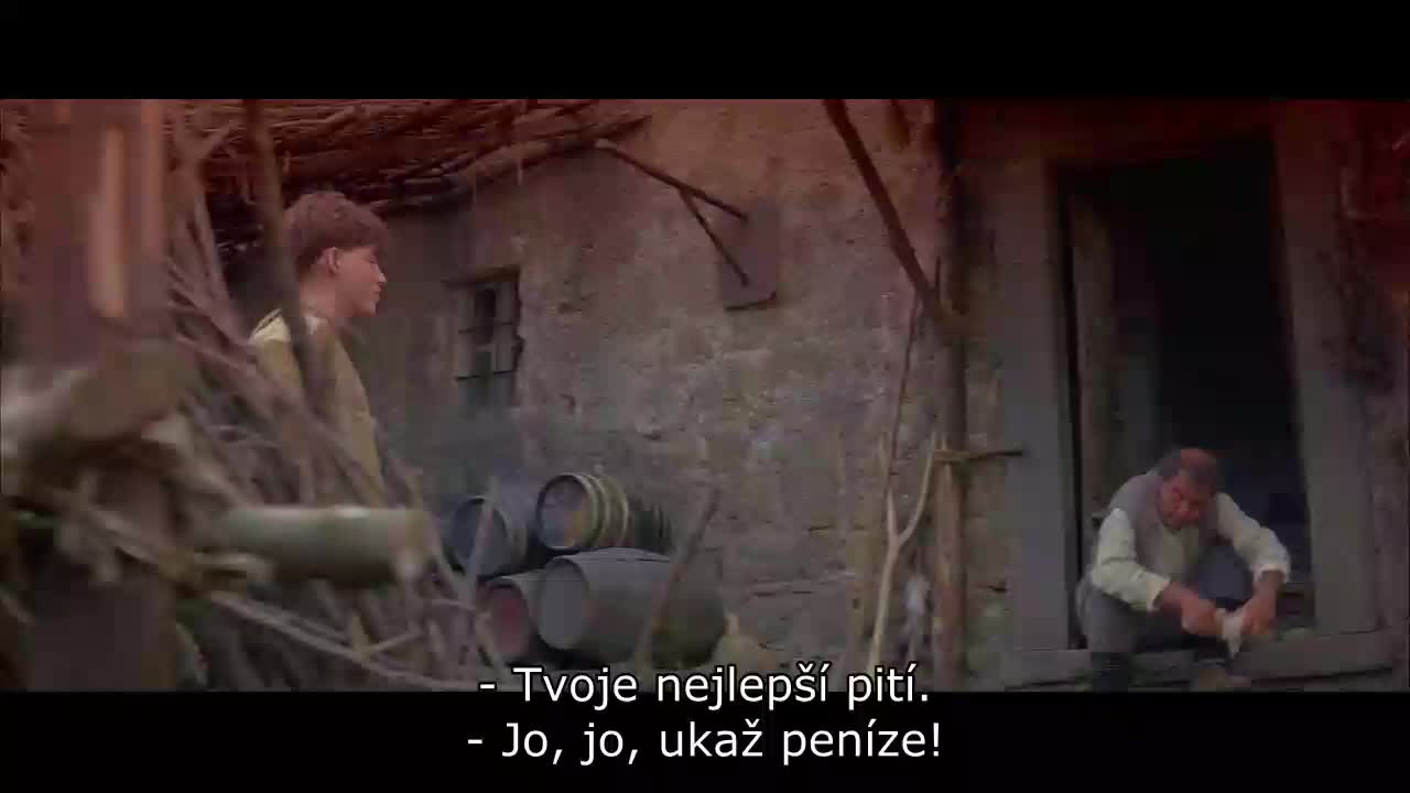 Jestřábí žena (Matthew Broderick Rutger Hauer Michelle Pfeiffer 1985 Fantasy Dobrodružný Romantický Bdrip 1080p ) 3x Cz dabing + tit avi
