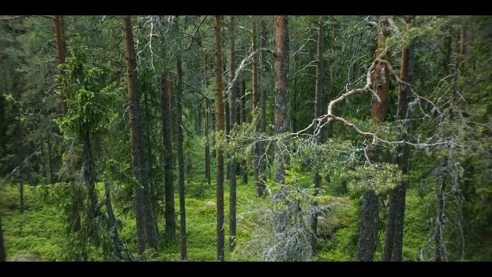 Ronja, dcera loupežníka S02E03 Medvědí jeskyně mkv