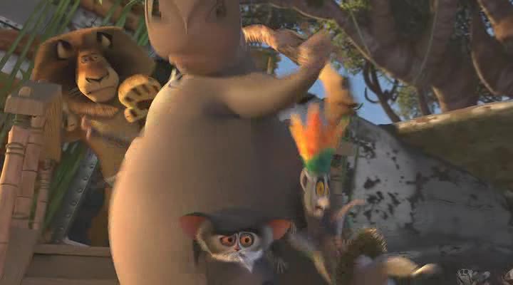 Madagaskar 2 =2008 CZ avi