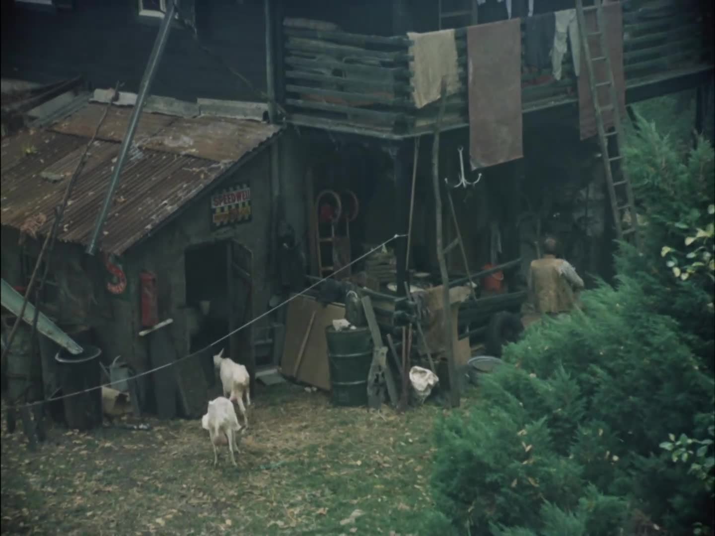 Slavnosti sněženek (1983) komedie mkv