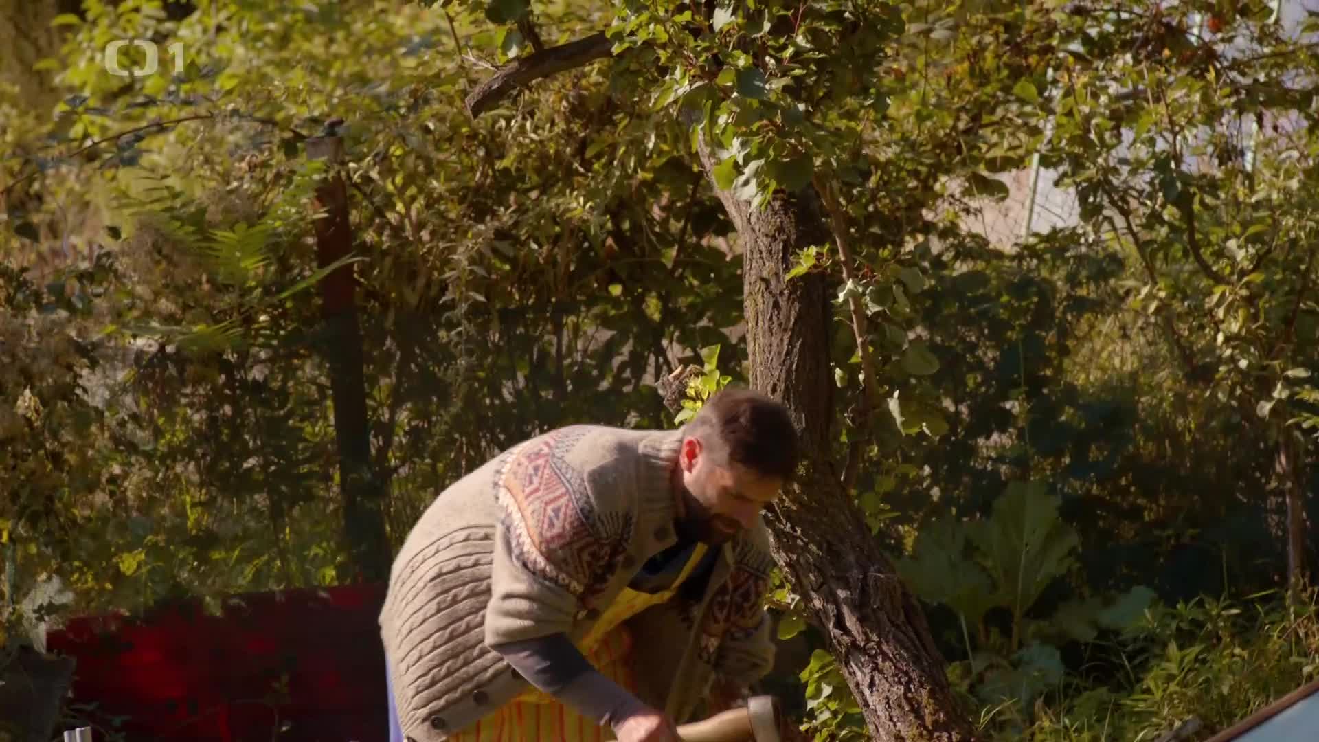 Dobré ráno, Brno! S02E07 mkv