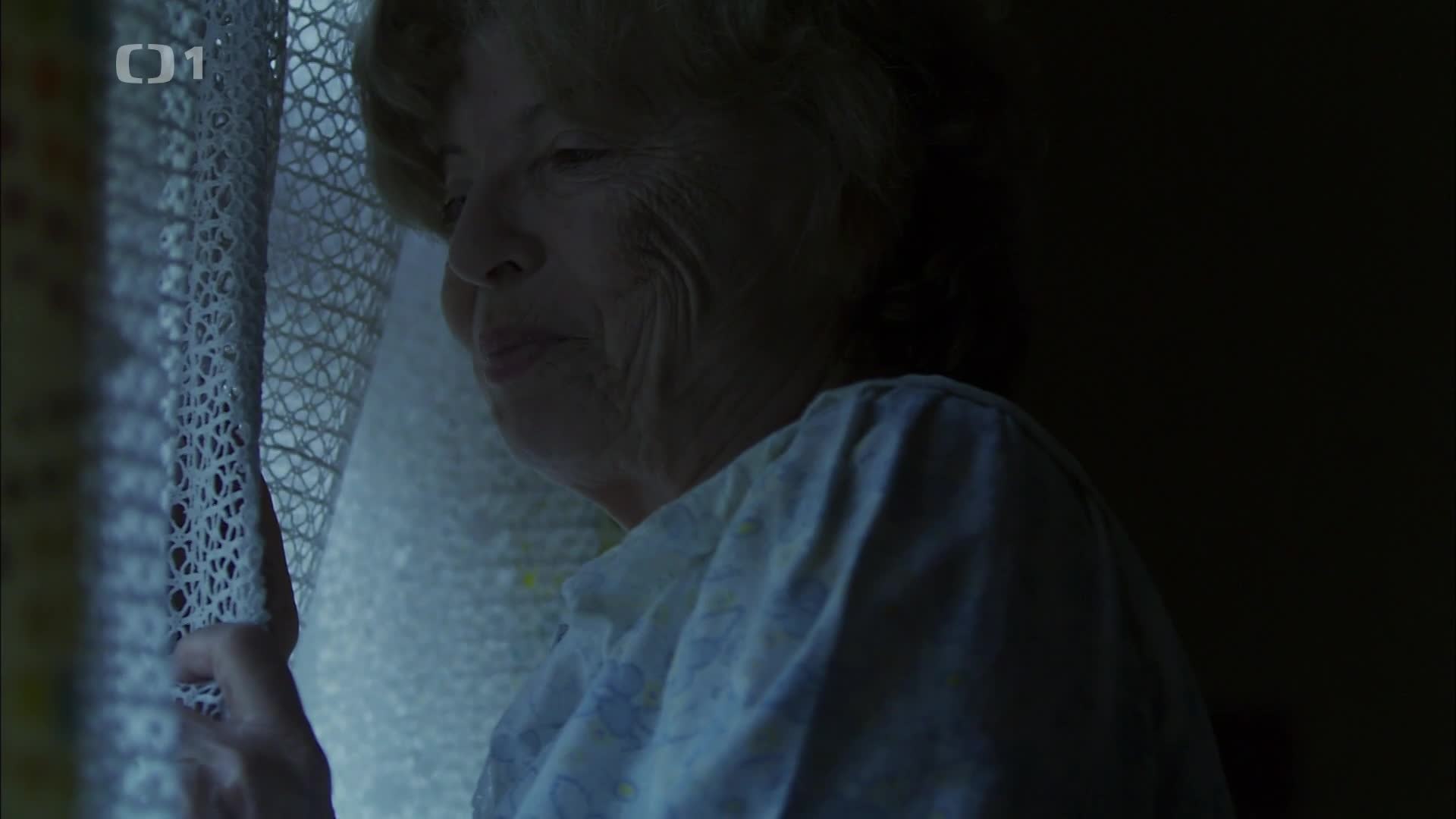 Tchyně a uzený {2011} drama 1080p mkv
