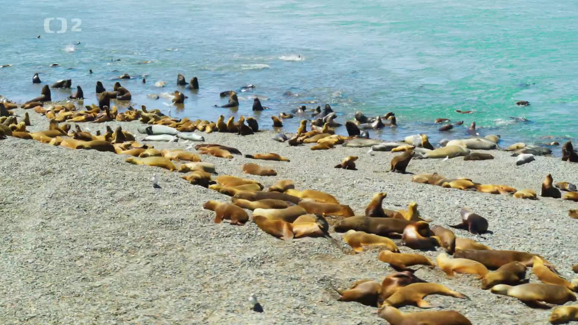 Argentina z vysky E02 Patagonie [Aerial Argentina Patagonia] (cz en 1080p WEBRip) mkv