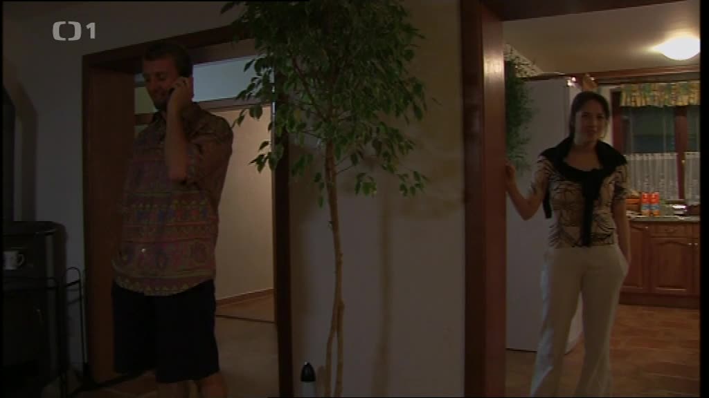 Proč bychom se netopili S01E08 10 2009 CZ dab 560p Křižákův návrat mp4