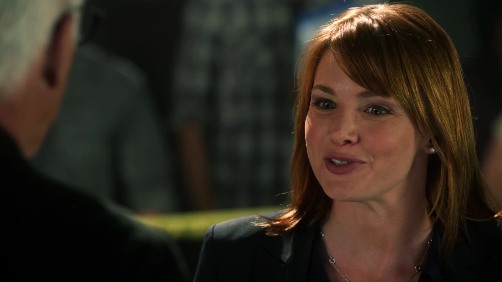 Kriminálka Las Vegas S14E04 22 2013 CZ dab 1080p Poslední večeře mkv