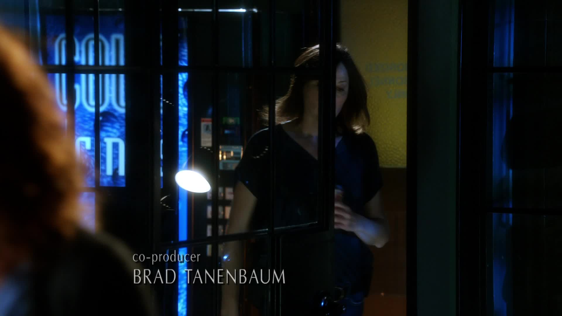 Kriminálka Las Vegas S15E12 18 2014 CZ dab 1080p Mrtvý les mkv