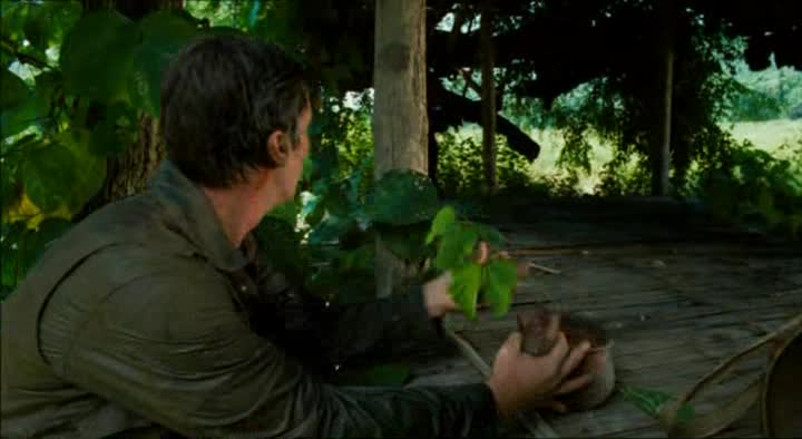 Temný úsvit =2006,,, CZ avi