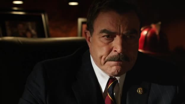 Spravedlnost v krvi (Blue Bloods) S02E19 Jistý hrdina avi