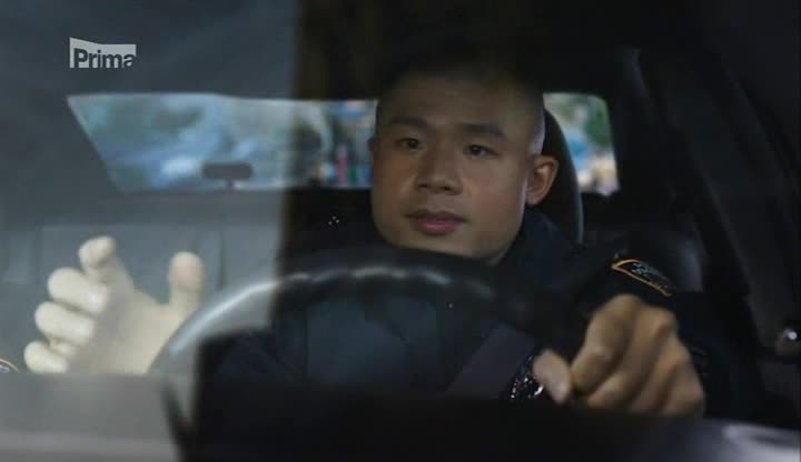 Spravedlnost v krvi (Blue Bloods) 09x11 Protest avi