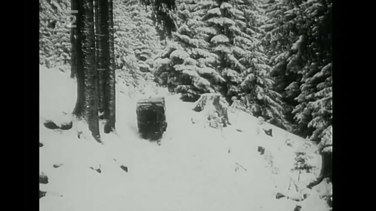 Hledání ztraceného času Dřevo v pohybu mp4