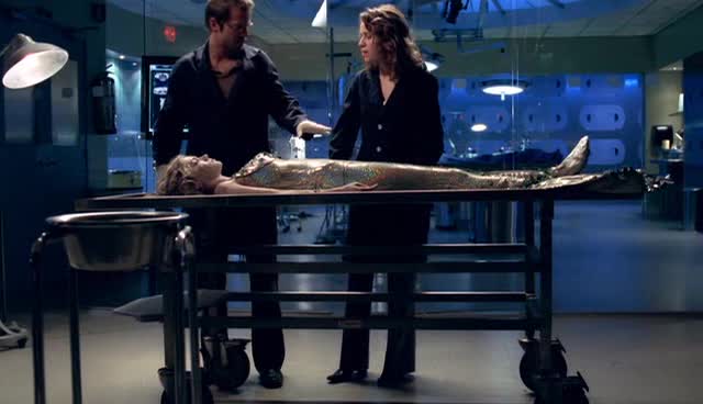 Kriminalka New York 2x22 Ukradený domov avi