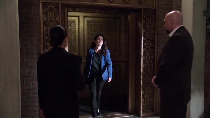 Mentalista S06E02 Rudý pták s černými křídly 2013 CZ avi