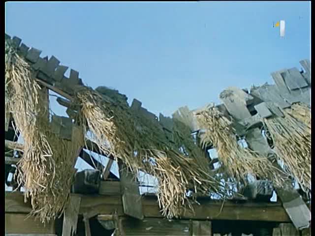 Pat a Mat 012 Voda avi