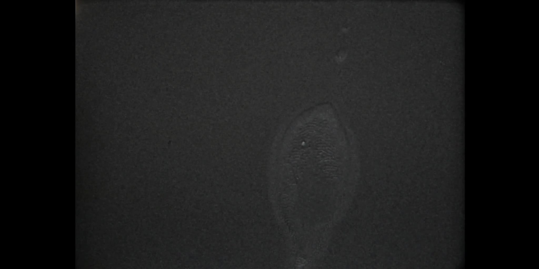 Jeremy Young Trafic (2021) (Tomonari Nishikawa) mp4