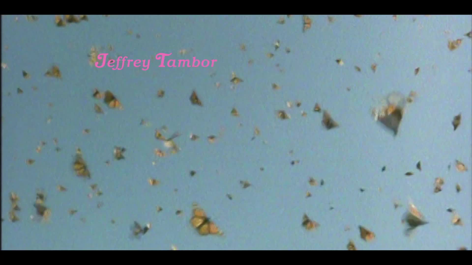 Transparent S04E06 10 2017 CZ dabing 1080p FHD Nikdy jsem ti neslíbil Zemi zaslíbenou mkv