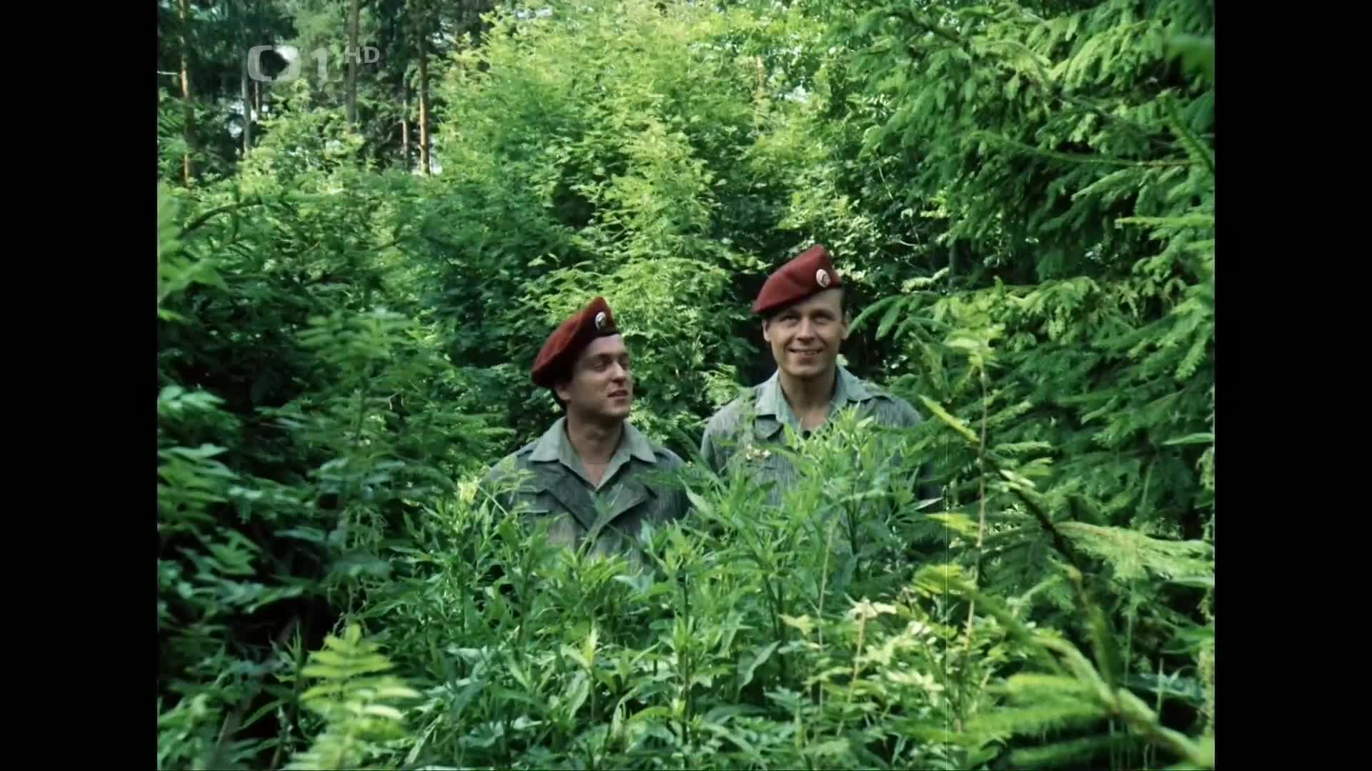 Copak je to za vojáka (1987) 1080p mkv