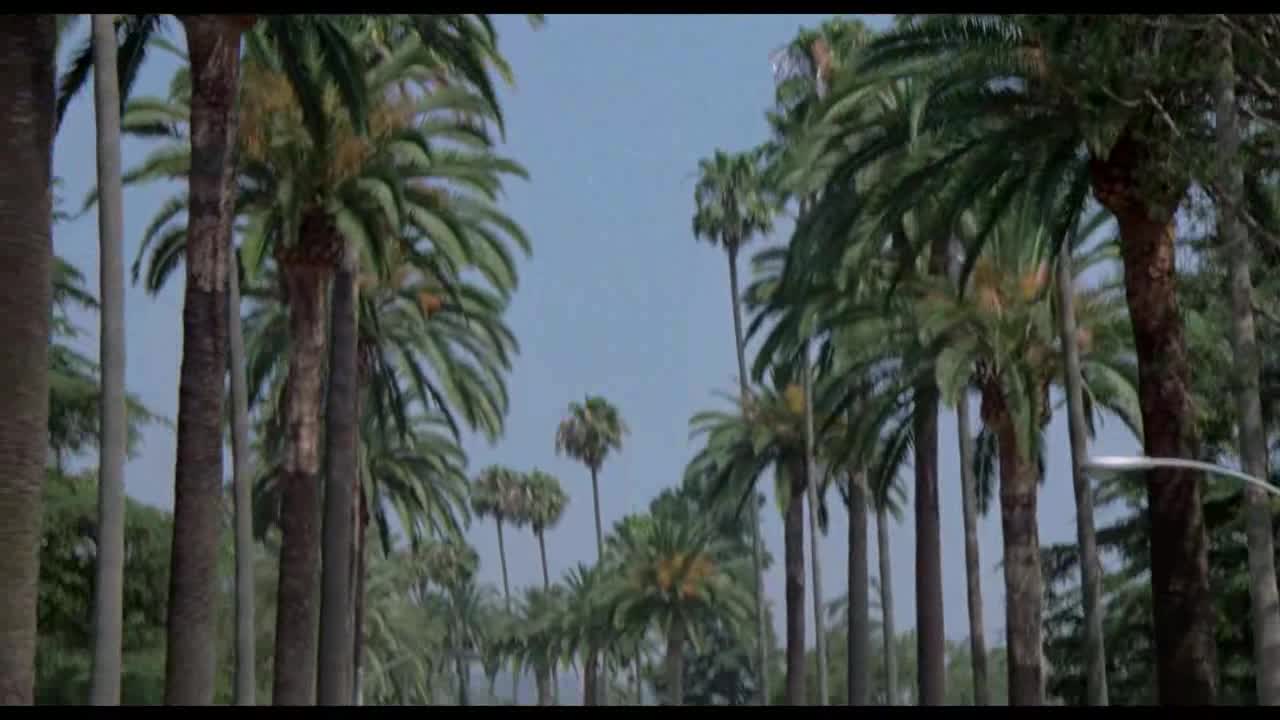 Banda z Beverly Hills (Shelley Long,Craig T Nelson,Betty Thomas 1989 Komédie) Sk dabing 2 avi