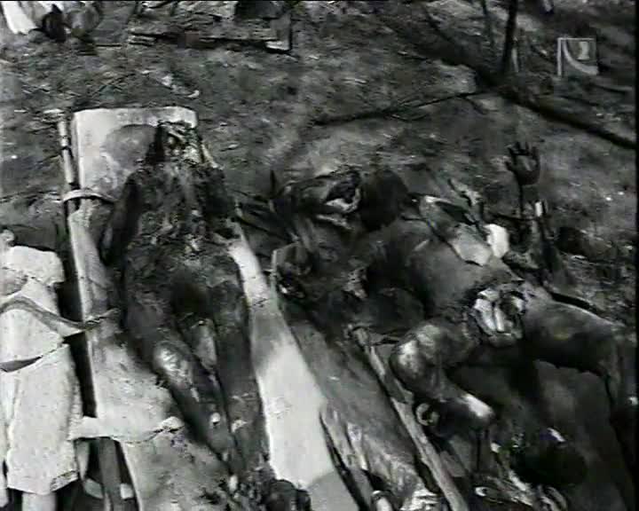 hitlerova smrt posledna sprava (Hitler's Death the Final Report) (1995) VHS TVrip mkv