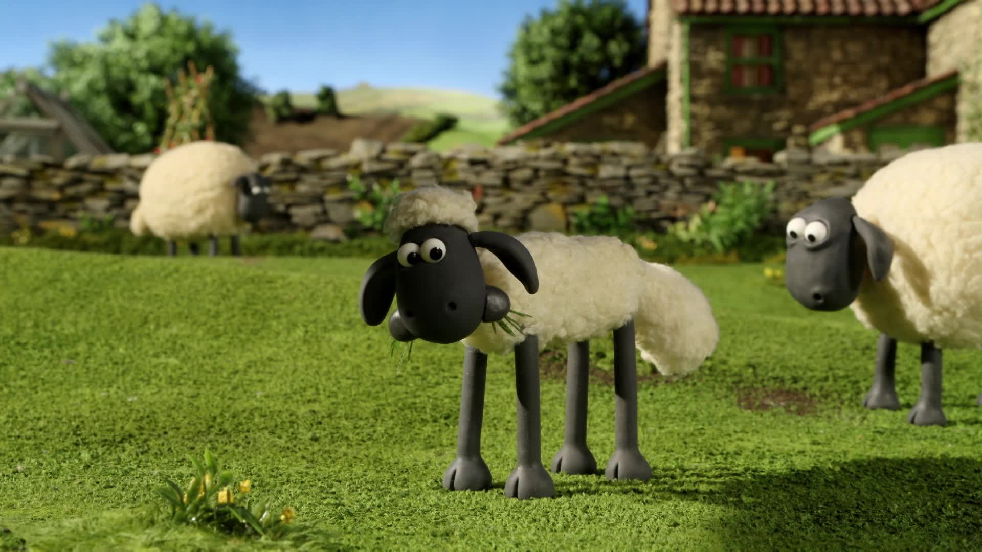 Ovecka Shaun S02E22 Jako by mu ulitly ovce [What's Up Dog] (en 1080p) mp4