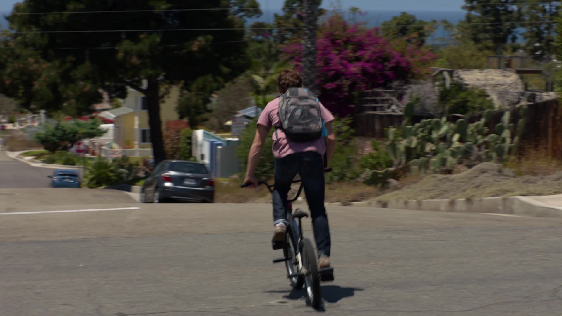 Animal Kingdom S01E10 10 2016 CZ dab 1080p Cos to udělal mp4