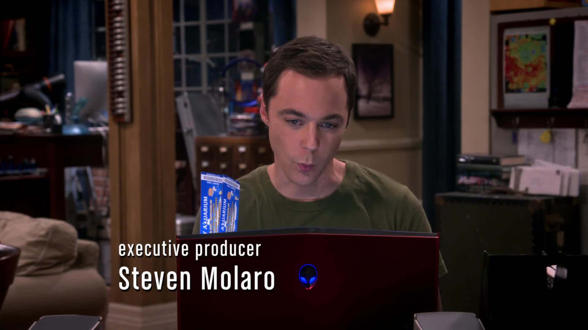 Teorie velkého třesku S09E09 24 2015 CZ dab 1080p Vystřídání partnerských rolí mkv