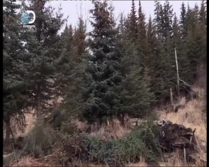 Aljaska posledni divocina 056 SD 05x02 Kilcherovi pokracuji v boji o preziti mkv