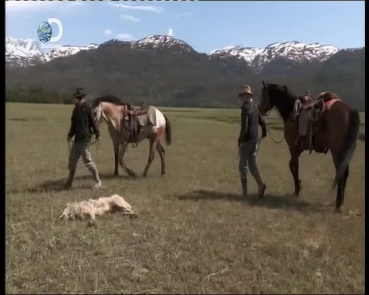 Aljaska posledni divocina 062 SD Zivot u Kilcheru neni prochazka ruzovym sadem mkv