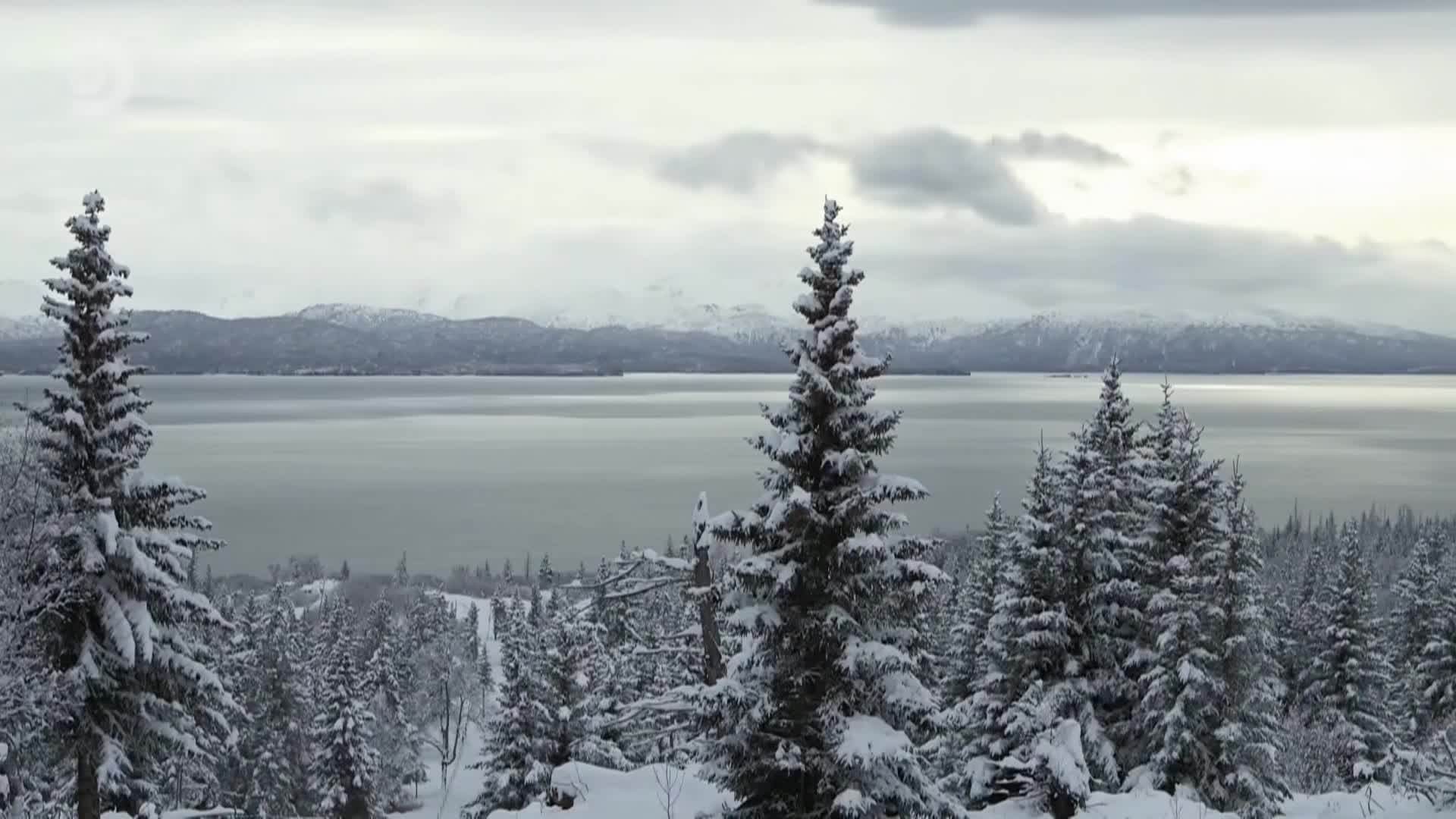 Aljaska posledni divocina 152 HEVC 09x12 Vanoce na Aljasce mkv