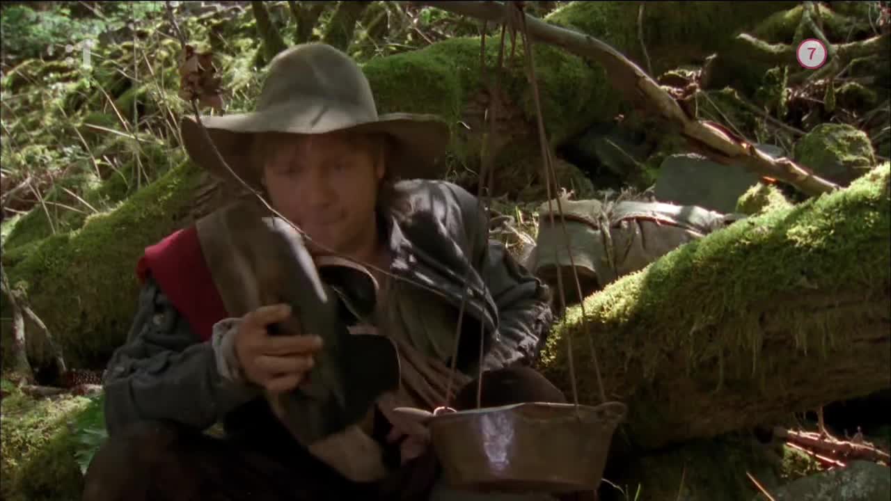 Rozprávky bratov Grimmovcov Modrý lampáš 2010 SK dabing HD 720p mp4