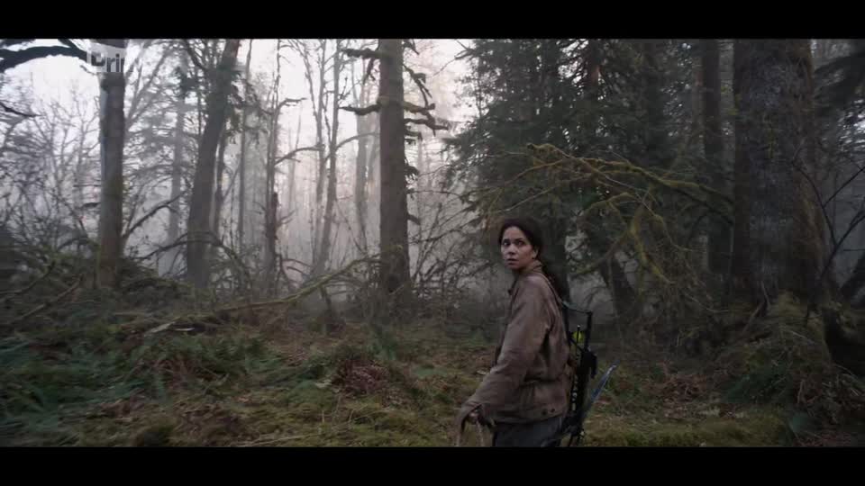 Nikdy se nepouštěj (Halle Berry, Matthew Kevin Anderson, Christin Park 2024 Horor Thriller Hdtvrip 1080p ) Cz dabing mkv