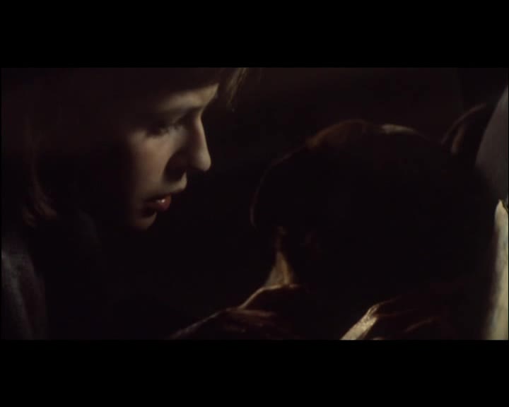 Tři barvy Červená 1994 CZ dab avi