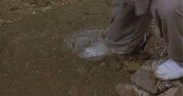 Jaro, léto, podzim, zima a jaro 2003 CZ dab avi