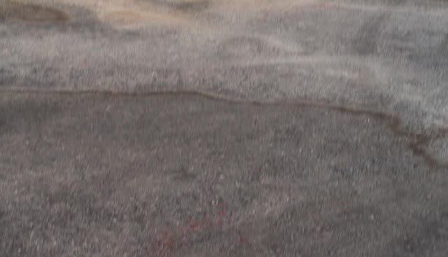 Ncis S09E02 Neklid avi