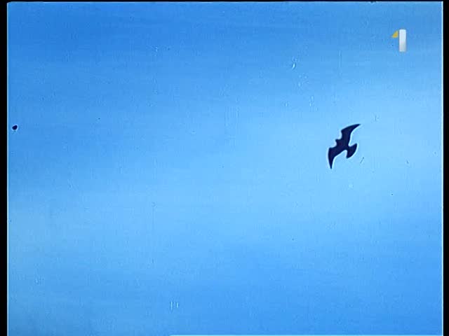 Pat a Mat 013 Skokani avi