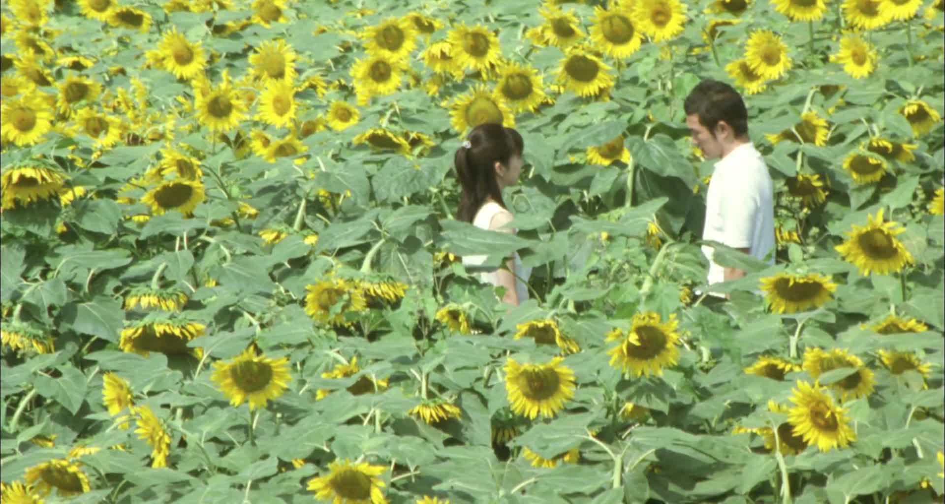 Ima, ai ni yukimasu Be with You (2004) JP EN CN CZ SK romantic compilation sestřih.mkv