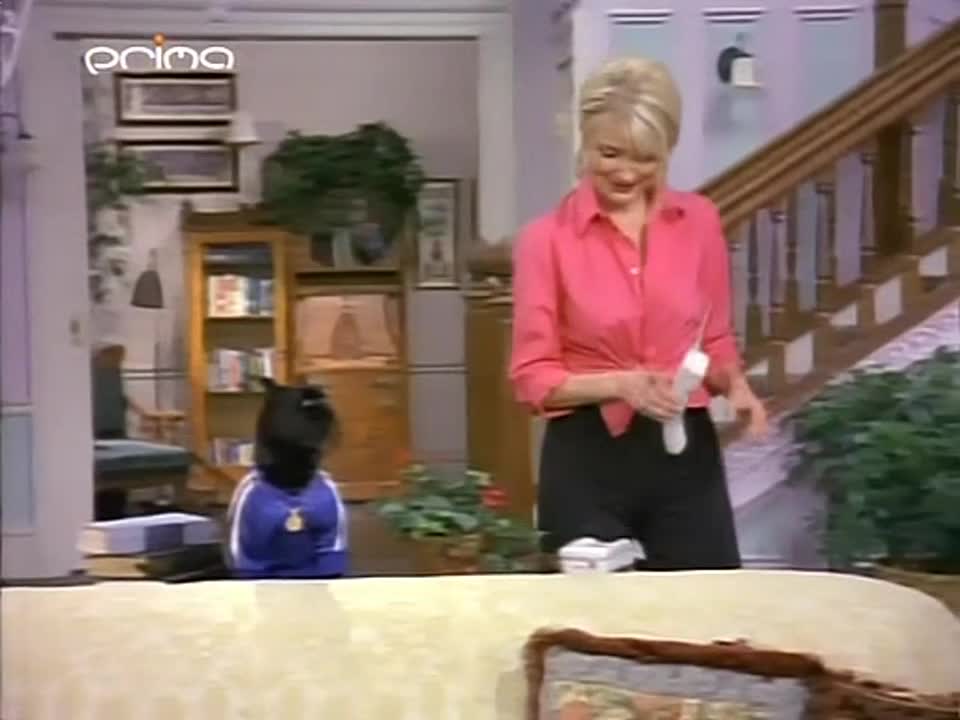 Sabrina mladá čarodějnice S03E07 25 1998 CZ dabing 720p HD Vsadíš na svou rodinu mp4
