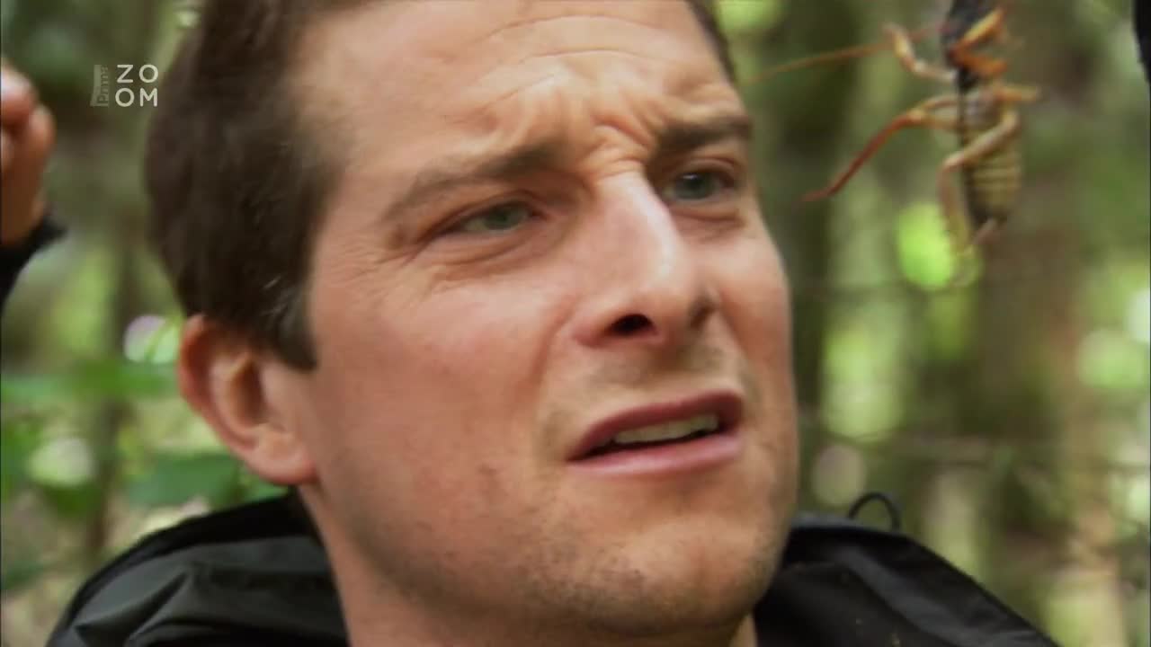 Bear Grylls Muz vs divocina S07E05 New Zealand Land Of The Maori (cz 720p) mp4