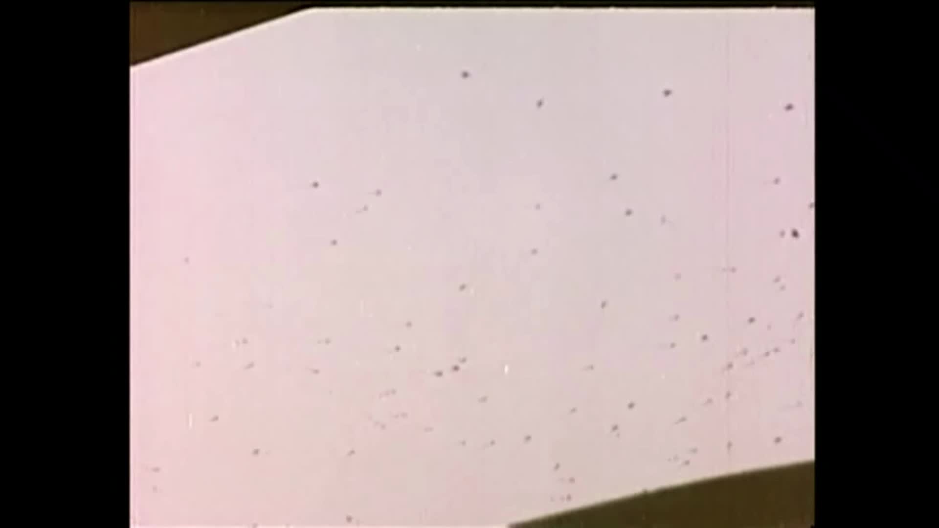 Tichá noc, krvavá noc (Patrick O'Neal,James Patterson,Mary Woronov 1972 Horor Thriller) Cz dabing mkv