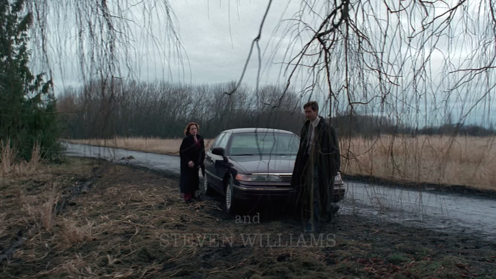 Akta X S02E15 25 1994 CZ dab Čerstvé kosti mkv