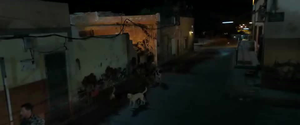 Venom 3 Poslední tanec (Tom Hardy, Juno Temple, Chiwetel Ejiofor 2024 Akční Sci Fi Dobrodružný Bdrip 1080p ) Cz dabing mp4