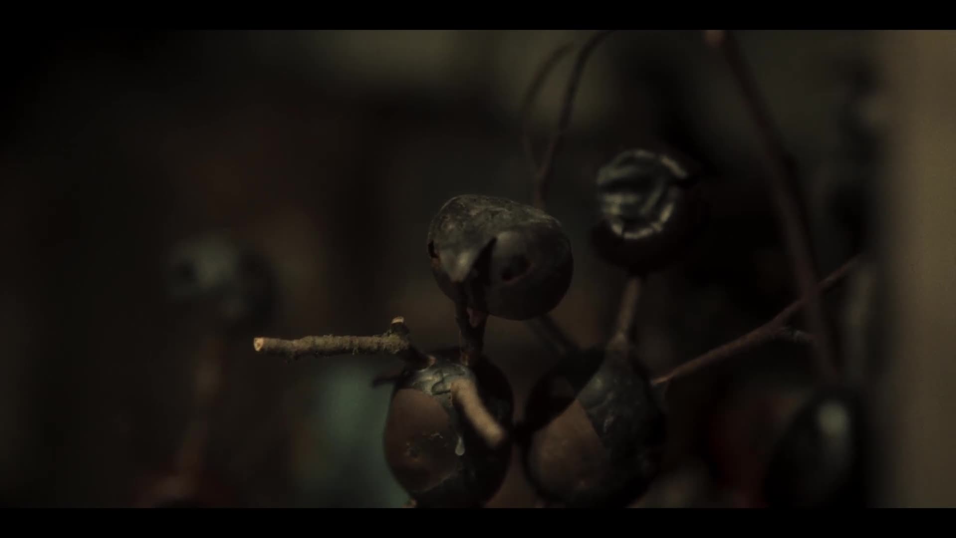 Kaštánek S01E01 {2021} drama, mysteriózní, thriller AAC 5 1 1080p CZ dabing mkv