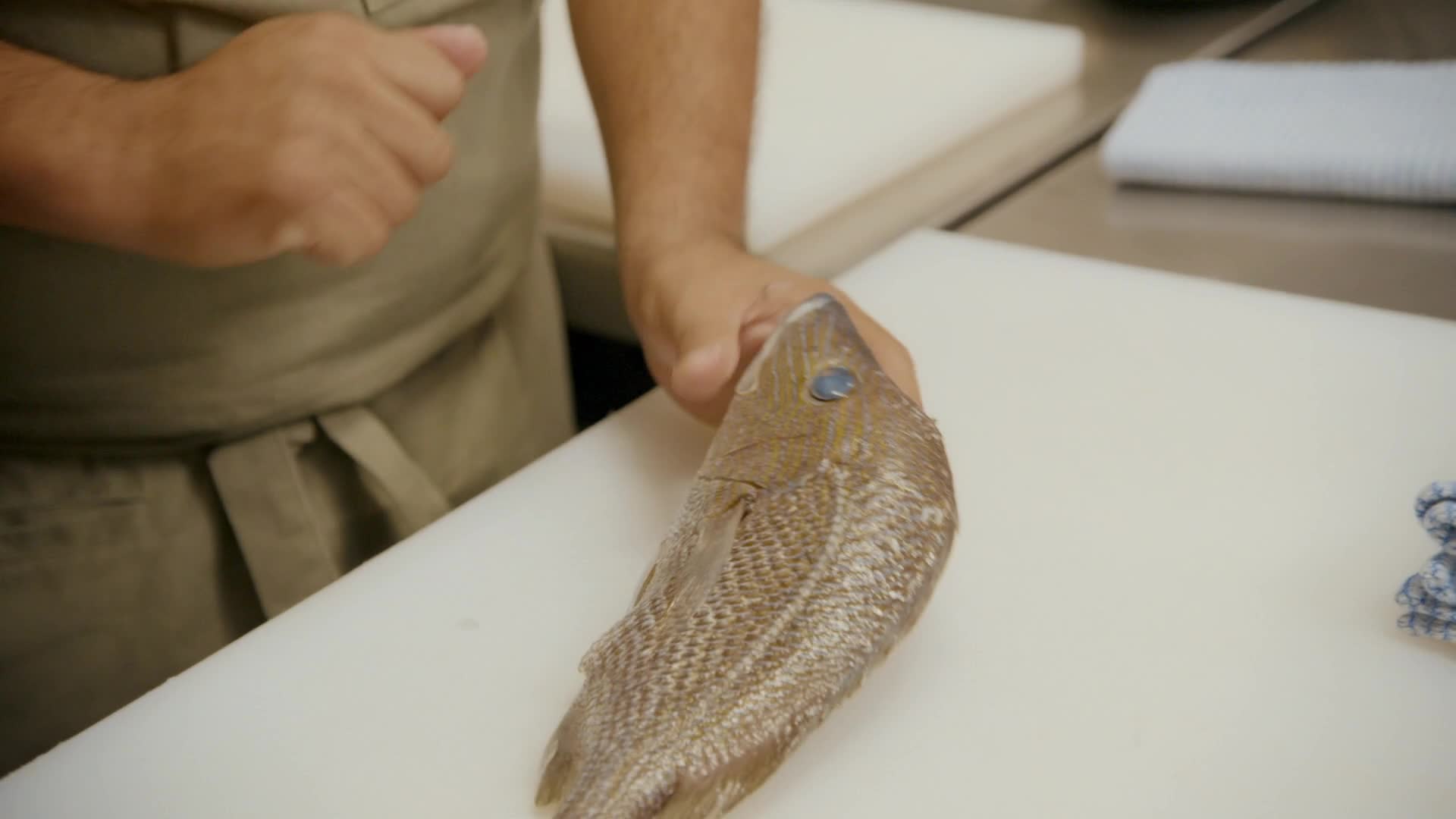 Eva Longoria Searching For Mexico S01E06 1080p WEB h264 EDITH mkv