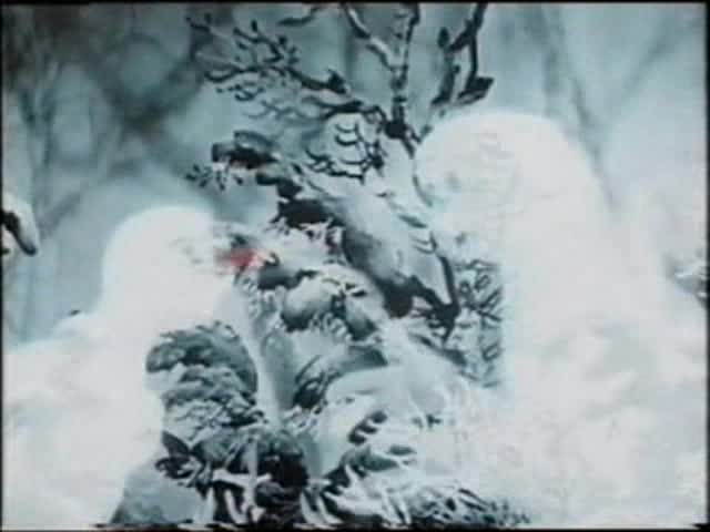 1954 Dva mrazíci Vlasta Burian, Jan Werich avi